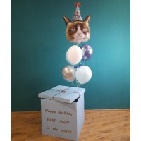 Гелиевые шары, композиция "Милый сюрприз" арт. 357 Гелиевые шары, композиция "Милый сюрприз" арт. 357